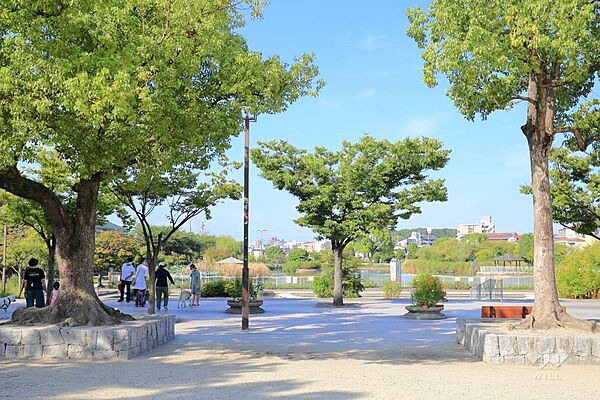市場池公園