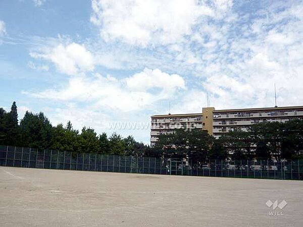 高野台スポーツグラウンドの外観