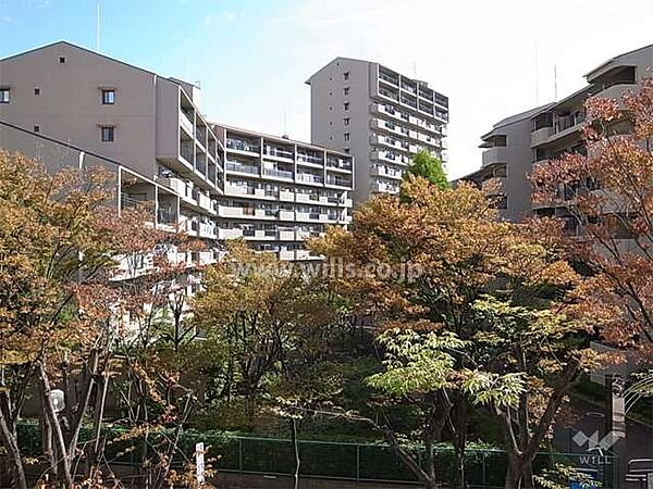 敷地内は植栽スペースが多く設けられ、たいへん緑豊かです。（左側がC棟）