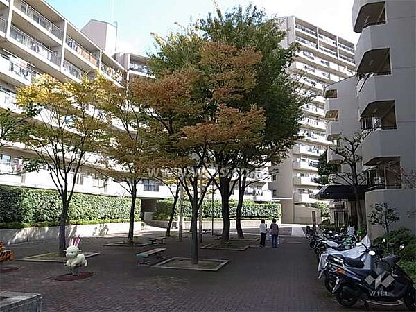 C棟南側の広場