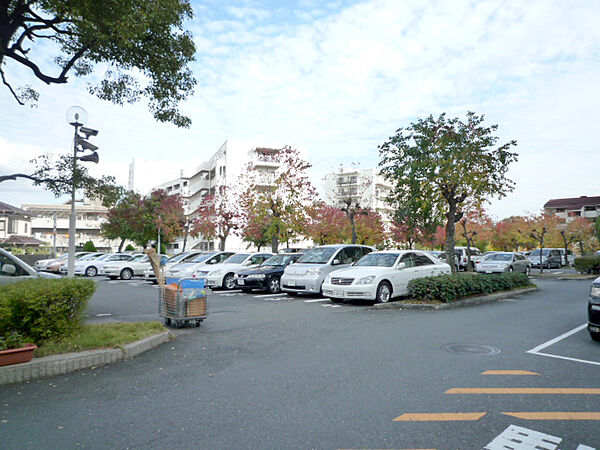 敷地内駐車場（平面式）