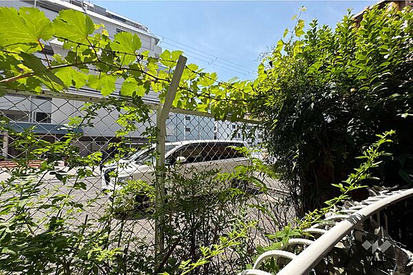 バルコニーからの眺め（南西方向）［2026年7月30日撮影］