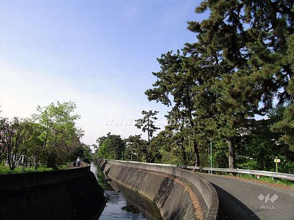 高川の外観