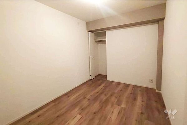 納戸約5.0帖。窓がないですが、通常の部屋、物置や趣味部屋としてもご利用いただけます