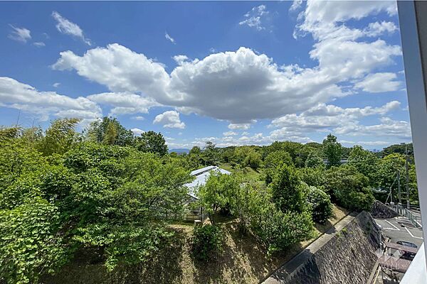 バルコニーからの眺め（南方向）。周囲に高い建物も無く、緑が広がっています！