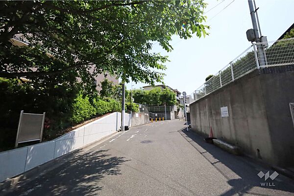 敷地西側の前面道路（北側から）
