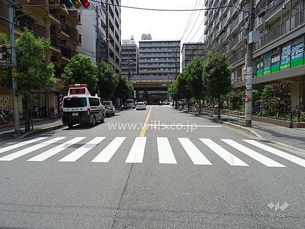 敷地南側の前面道路