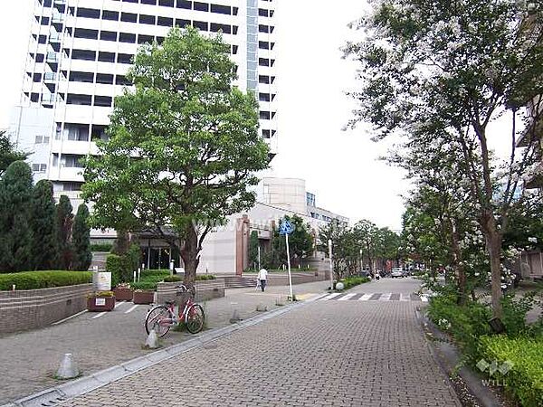 エントランス周辺道路(東側から)