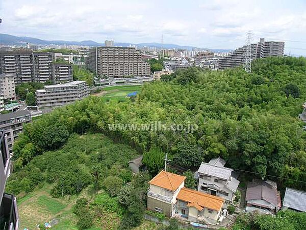 周辺は緑豊かな住宅地