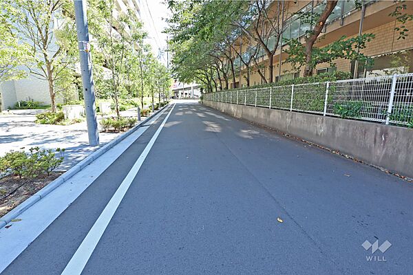 敷地西側の前面道路（北側から）