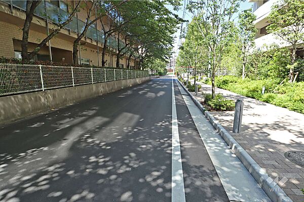 敷地西側の前面道路（南側から）