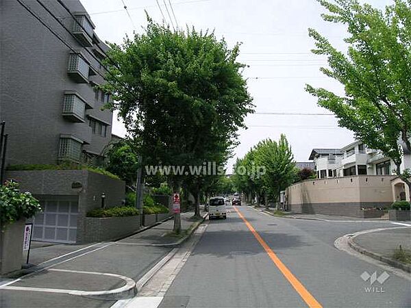 敷地東側の前面道路