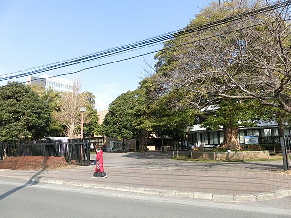 画像25:淑徳大学 890m