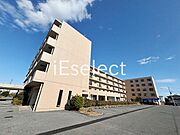 フェリス辰巳台の賃貸物件