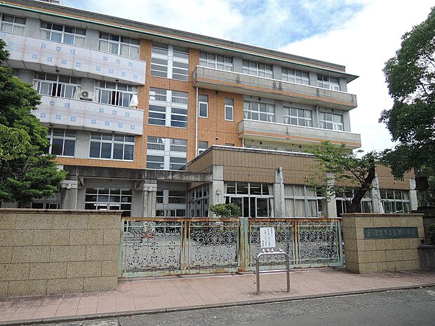 沼津市立金岡小学校まで（600m）