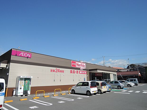 マックスバリューまで(1120m)