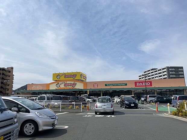 ビッグデーまで（1700m）