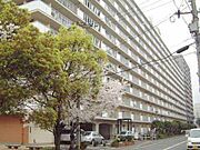 コープ野村大手町２ 5階 築43年4ヶ月の賃貸物件