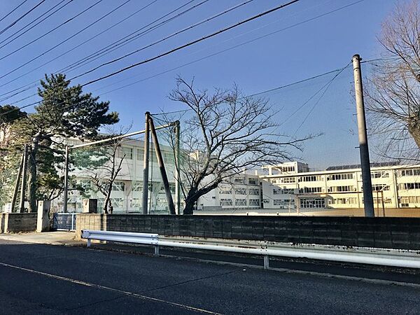 津市立新町小学校（338m）