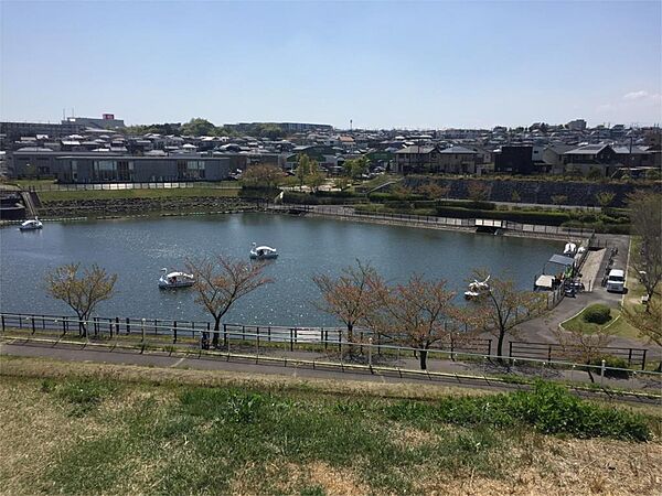 エイベックス播磨中央公園（536m）