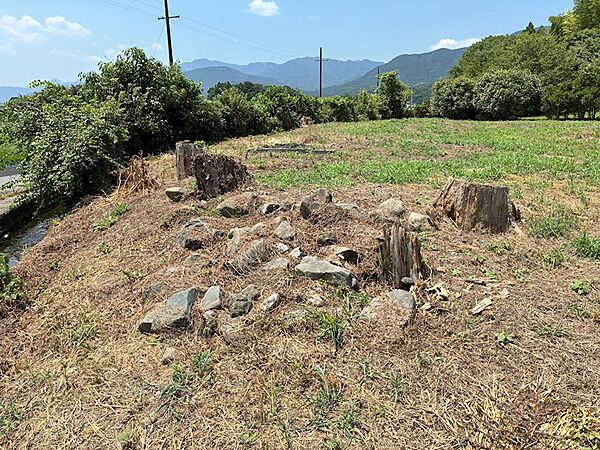 残置物（切り株・石等）あり