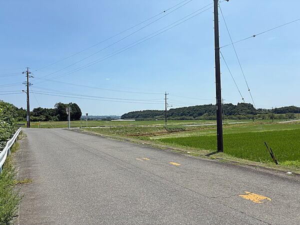 南側前面道路