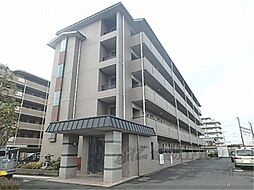 JR東海道・山陽本線 野洲駅 徒歩8分の賃貸マンション