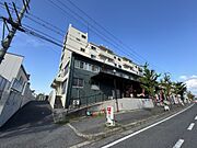 パインリーフ和泉 2階 築53年10ヶ月の賃貸物件