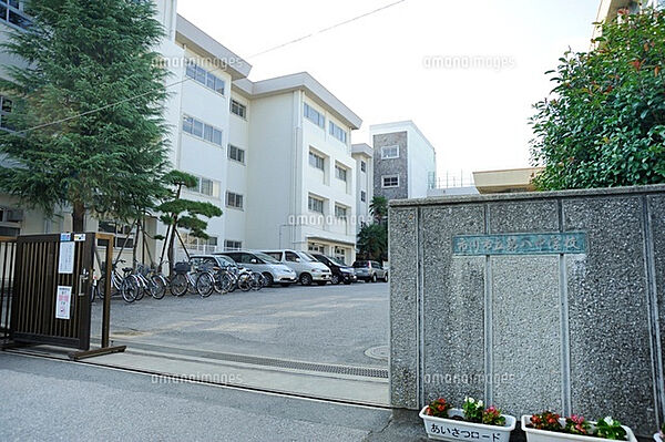 現地から400m、現地から徒歩5分　市立第八中学校　千葉県市川市大和田4丁目9-1