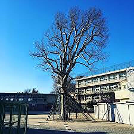 現地から2000m、現地から徒歩25分　市立第五中学校　千葉県市川市大野町3丁目1993