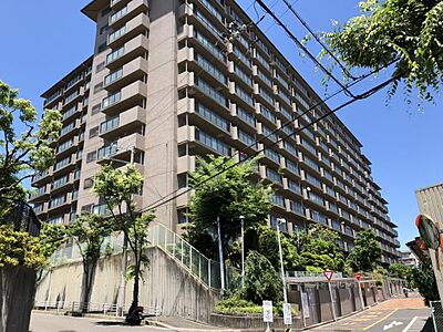 外観 外観