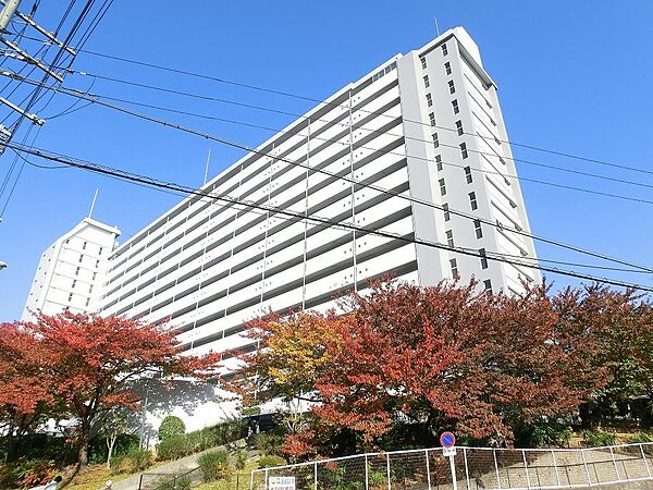 外観：327002981311