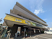  3階 築33年6ヶ月の賃貸物件