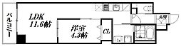 クラウドクレスト栄町 1LDKの間取図画像