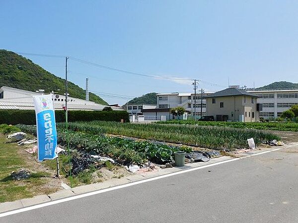 駐車