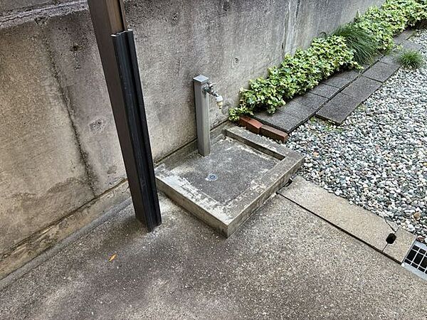 庭