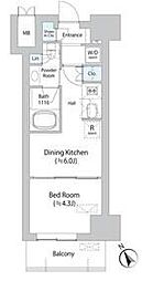東京メトロ丸ノ内線 後楽園駅 徒歩8分の賃貸マンション 7階1DKの間取り