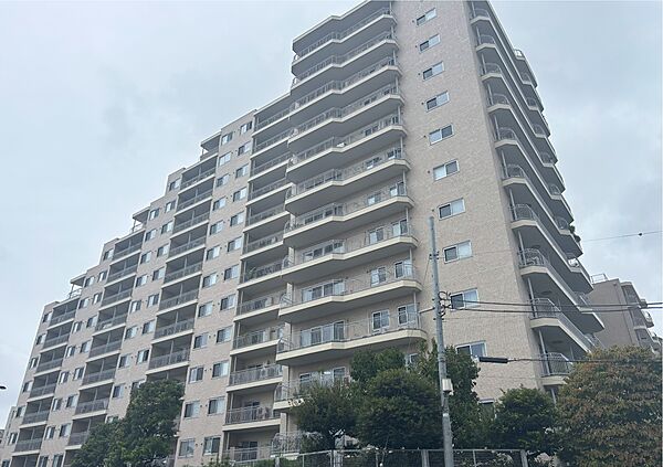 外観：313004911277