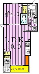 スカイテラス 1階1LDKの間取り