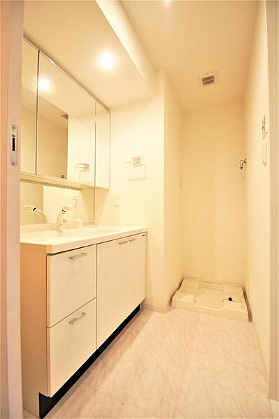 画像16:洗面所には洗面化粧台・洗濯機置き場があります。