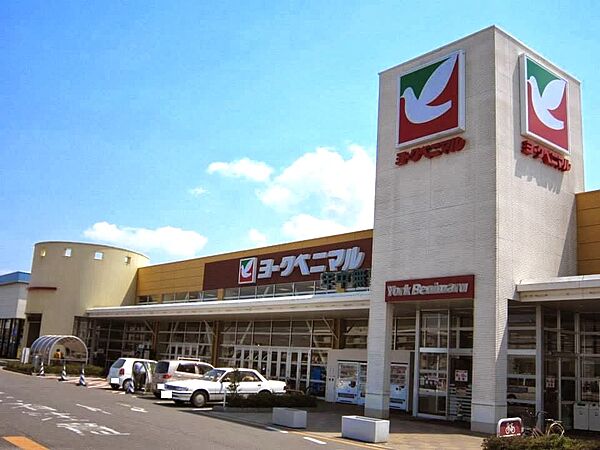 ヨークベニマル土浦真鍋店（900m）