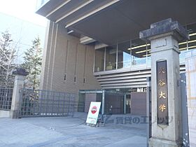 京都府京都市北区上賀茂朝露ケ原町（賃貸マンション1R・4階・11.55㎡） その10