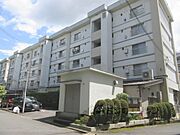 プラザ修学院修学院住宅Ｂ棟 2階 築56年2ヶ月の賃貸物件