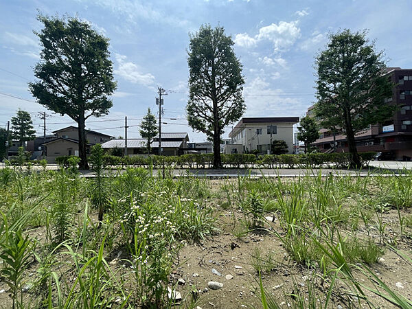 敷地内から見る南側景観