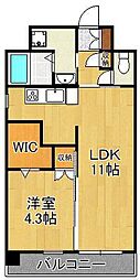 フェリシエ京町 1LDKの間取図画像
