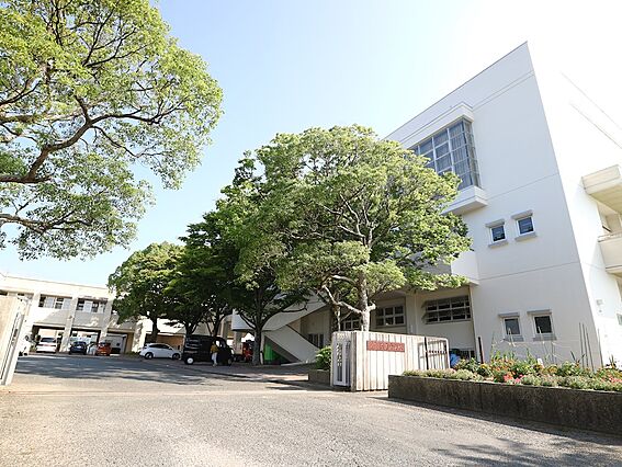 プリムローズ・ユー_周辺_5