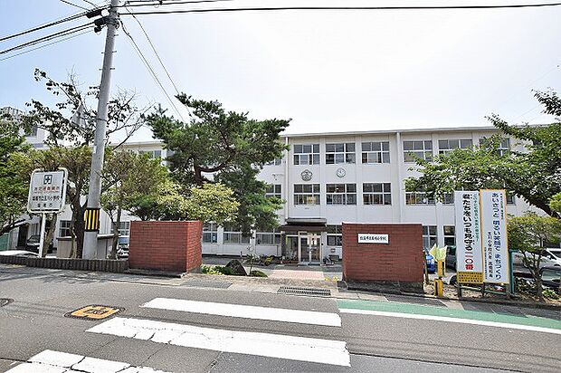 玉川小学校　約120ｍ