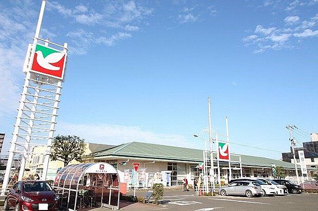 ヨークベニマル柳生店 徒歩13分。 990m