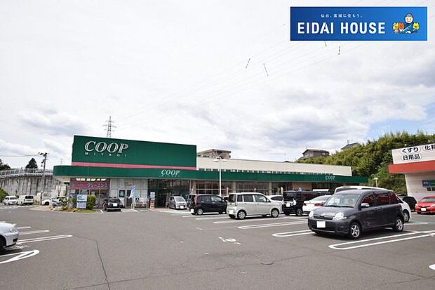 COOP　MIYAGI塩釜栄町店 徒歩10分。 770m