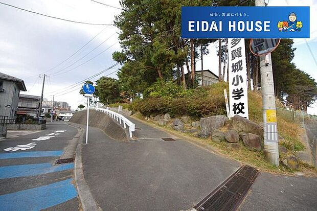 多賀城市立多賀城小学校 徒歩13分。 980m